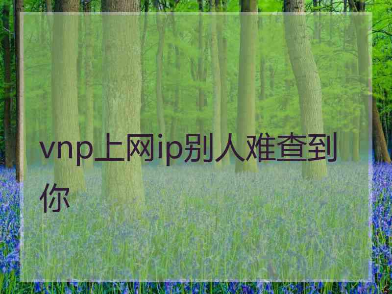 vnp上网ip别人难查到你