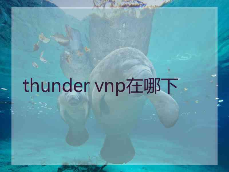 thunder vnp在哪下