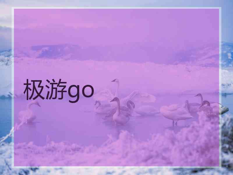 极游go