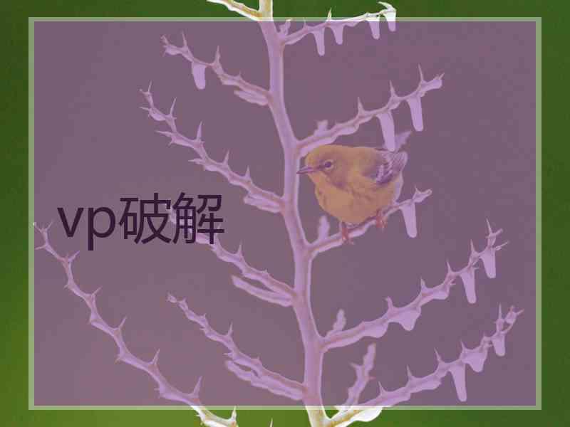 vp破解