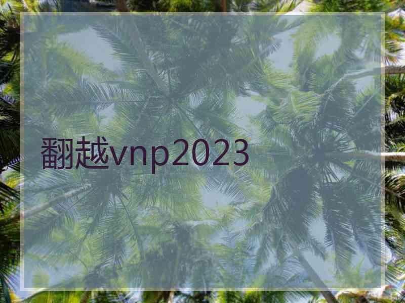 翻越vnp2023