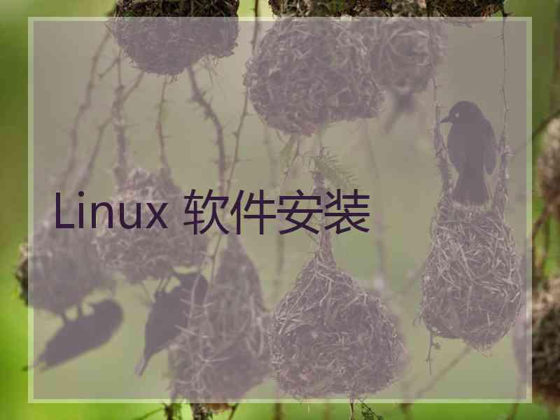 Linux 软件安装