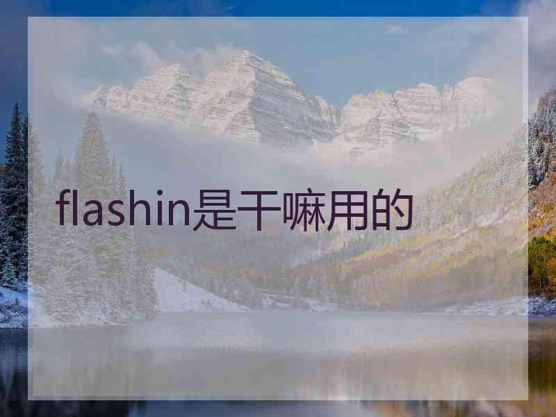 flashin是干嘛用的