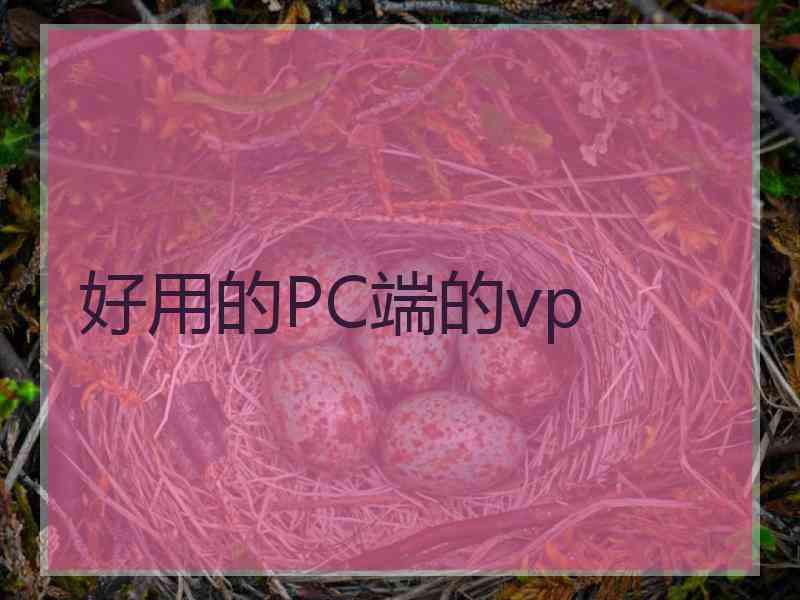 好用的PC端的vp