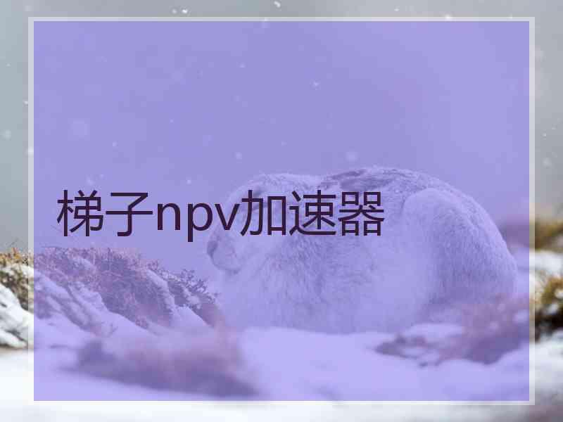 梯子npv加速器