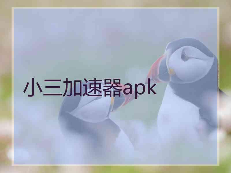 小三加速器apk