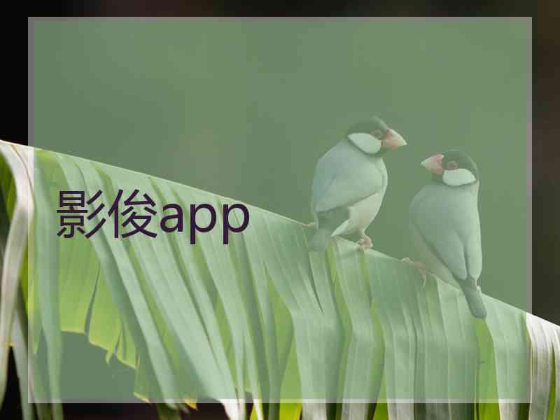 影俊app