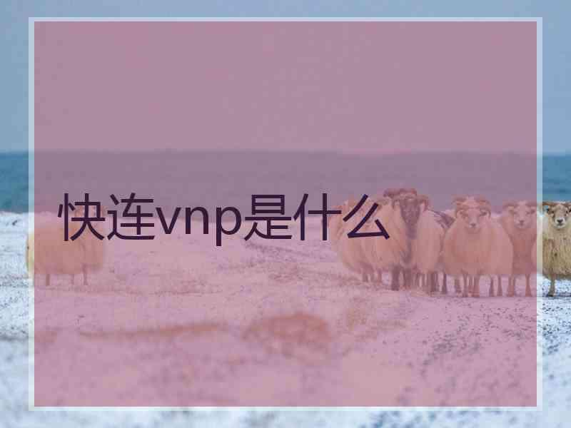 快连vnp是什么