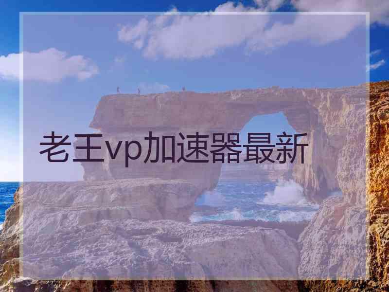 老王vp加速器最新